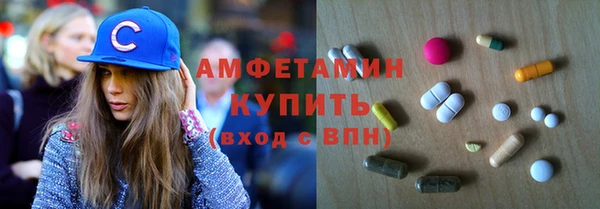 шишки Арсеньев