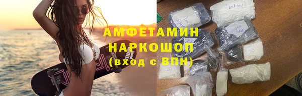 шишки Арсеньев