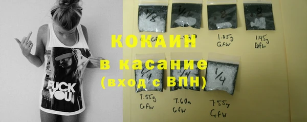 шишки Арсеньев