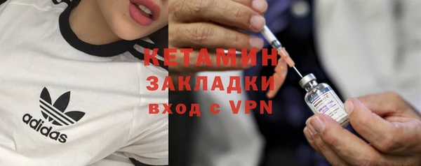 шишки Арсеньев