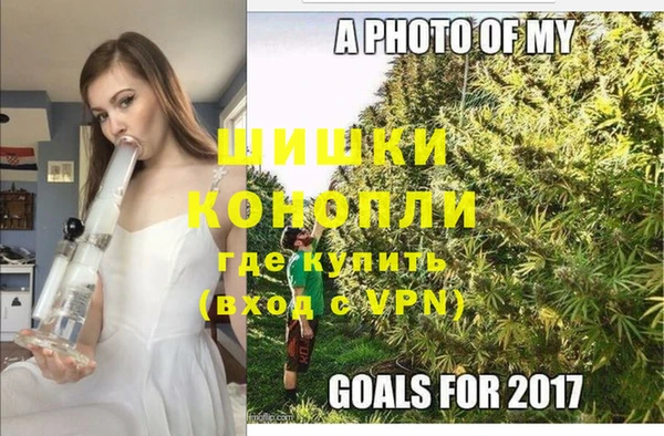 эйфоретик Аркадак