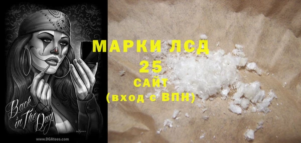 шишки Арсеньев